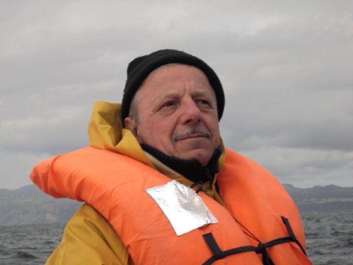 A caccia di balene